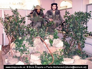 Havana Vieja - Muzeum revoluce (Kuba)