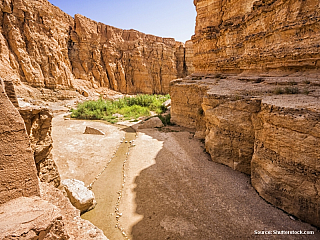 Selja Gorge – jízda Červenou ještěrkou