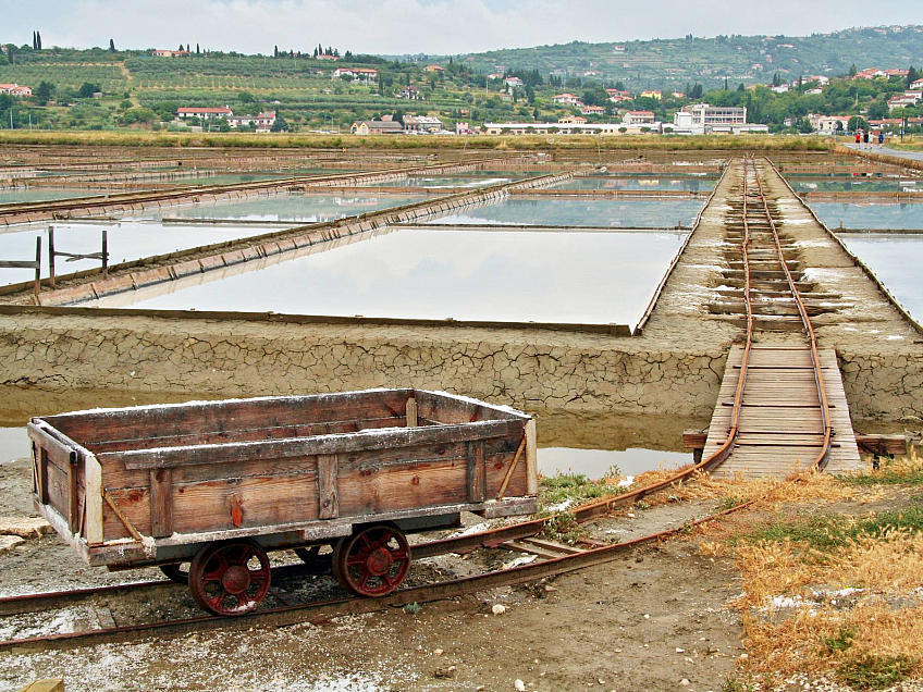 Sečovljská solná pole (Slovinsko)