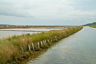 Sečovljská solná pole (Slovinsko)