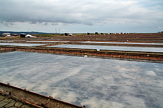 Sečovljská solná pole (Slovinsko)