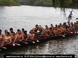 Ngaruawahia (Nový Zéland)