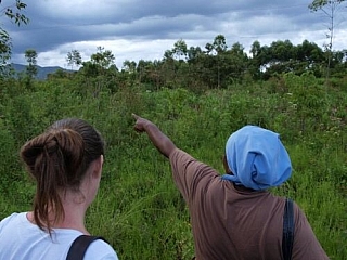 Dobrovolníci (Kongo)