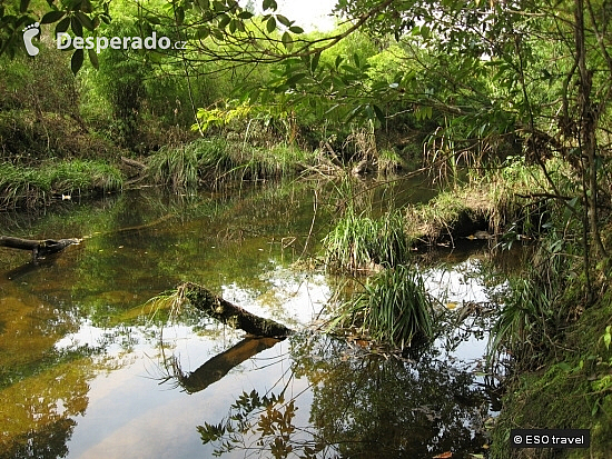 Tajemný park Phu Kradung (Thajsko)