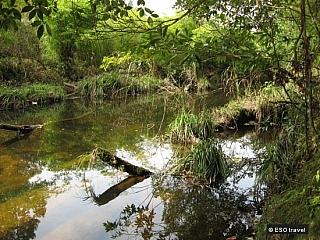 Tajemný park Phu Kradung (Thajsko)