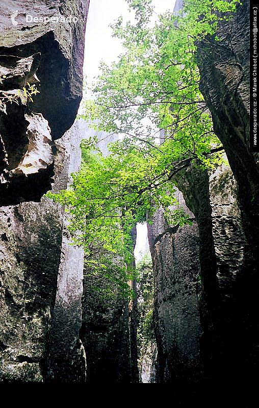 Jün-nan (Čína)
