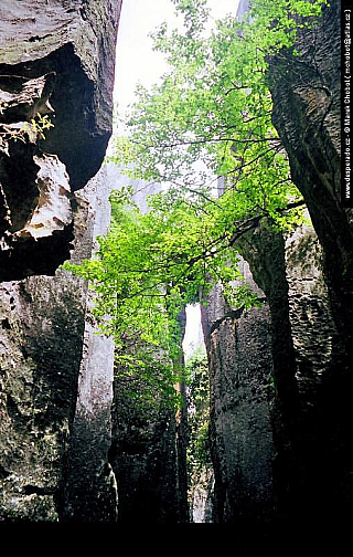 Jün-nan (Čína)
