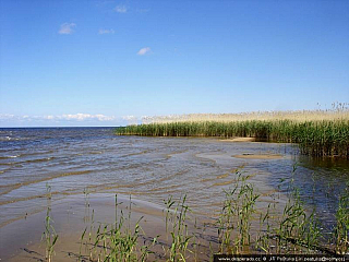 Čudské jezero nebo také Čudsko-pskovské jezero (Estonsko)