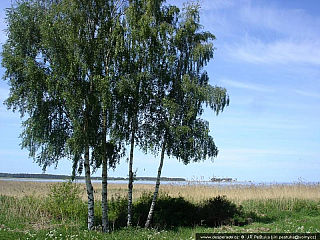 Rybářská vesnice Altja (Estonsko)