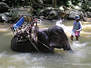 Ostrov Samui (Thajsko)