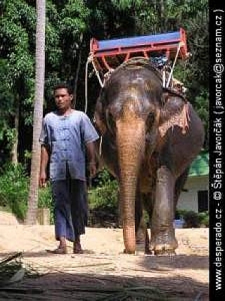 Ostrov Samui (Thajsko)