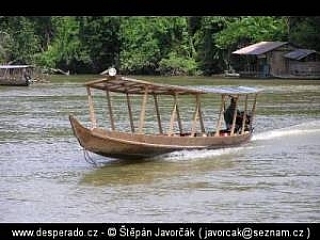 Trek v džungli (Malajsie)