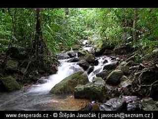 Trek v džungli (Malajsie)