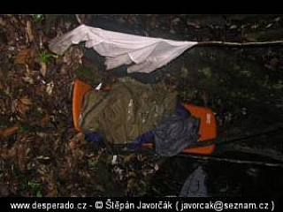 Trek v džungli (Malajsie)