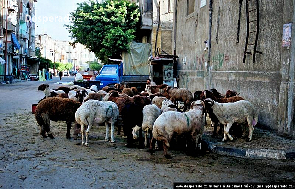Alexandria (Egypt)