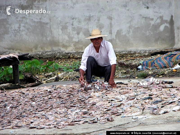Livingston (Guatemala)