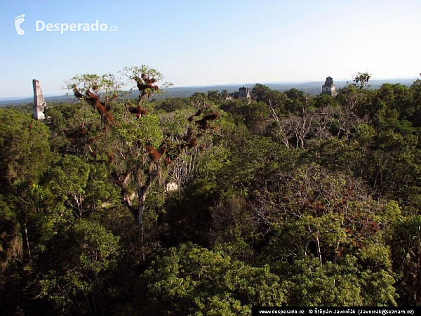 Tikal (Guatemala)
