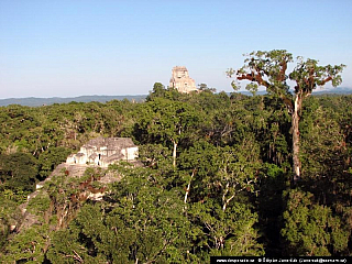 Tikal (Guatemala)