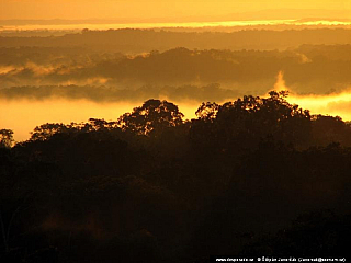 Tikal (Guatemala)