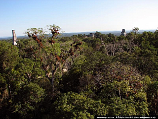 Tikal (Guatemala)