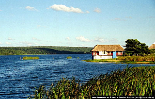 Flores (Guatemala)