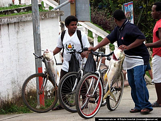 Livingston (Guatemala)