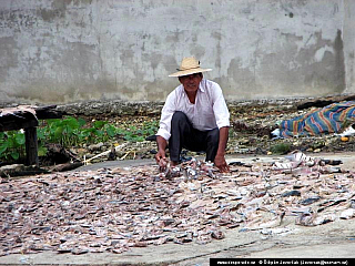 Livingston (Guatemala)